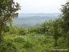 hill-view-in-bandarban