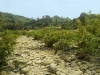 pebble-stone-road-in-bandarban