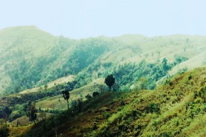 chimbuk hill, bandarban