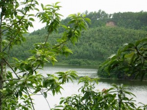 bandarban prantik lake