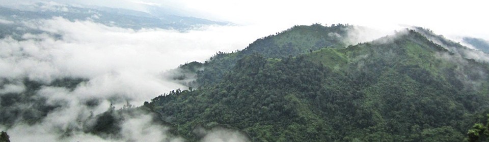 Nilgiri Bangladesh