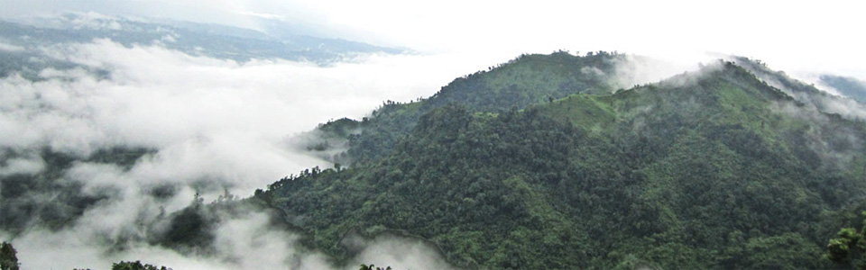 Nilgiri Bangladesh