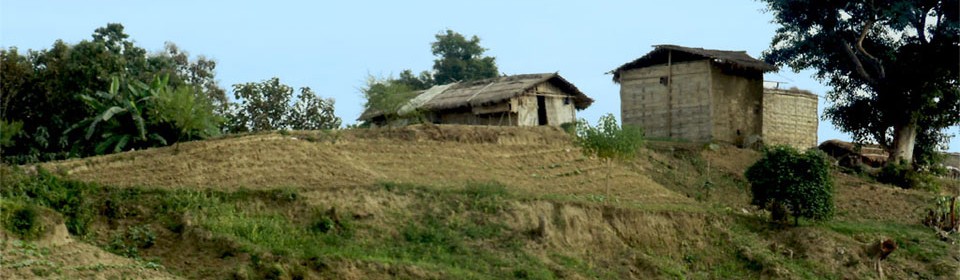 tribal house