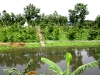 lake-view-at-holiday-inn-resort