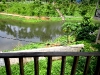 lake-view-from-balcony